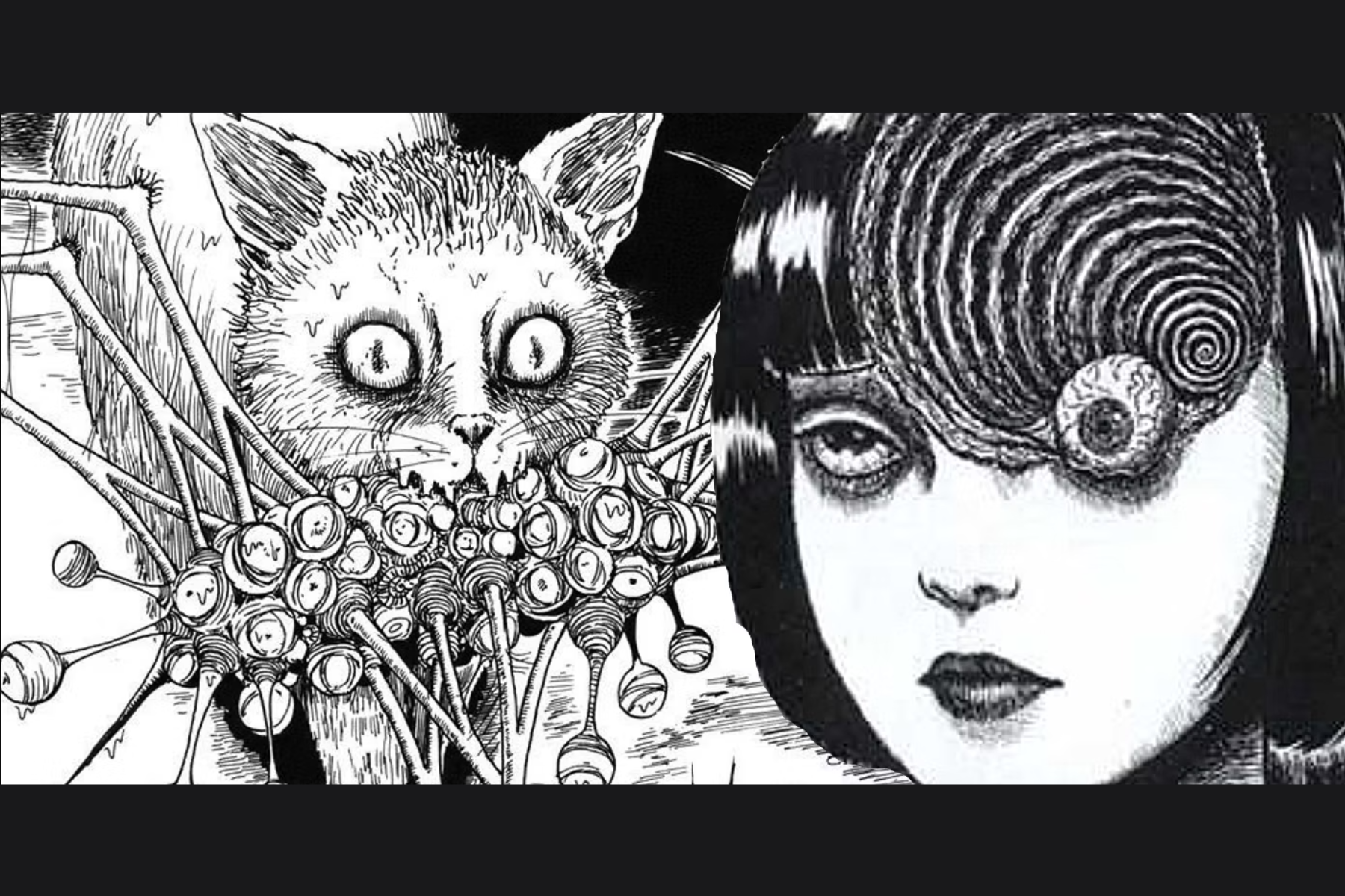 Horror Manga Quiz: Can You Guess the Junji Ito Book Based on its Cover?